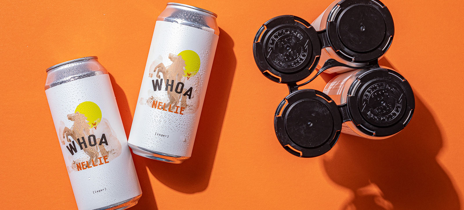 Lazy Dog Restaurant 4-packs to go 