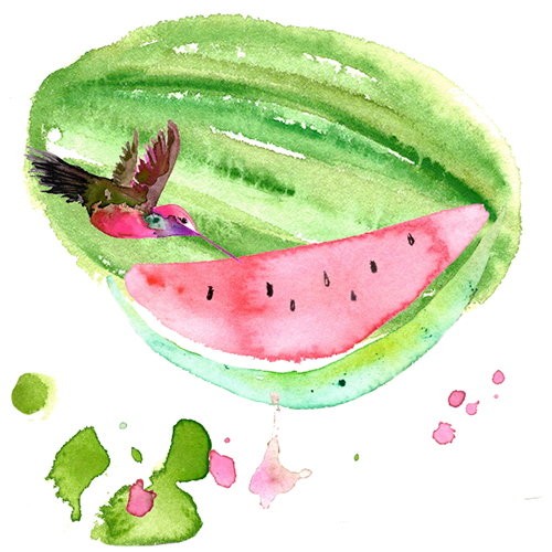 DIY: Watermelon Margarita - LD.com